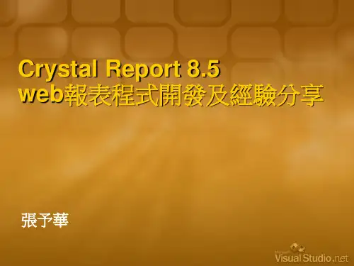 CrystalReport8.5web报表程式开发及经验分享