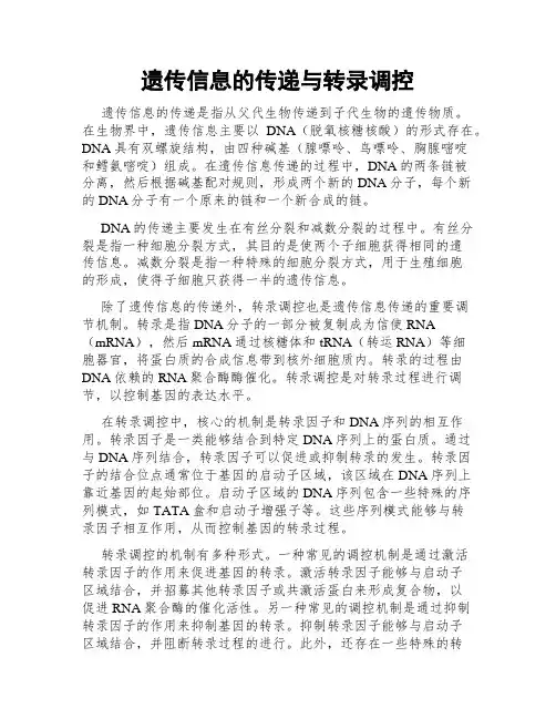 遗传信息的传递与转录调控