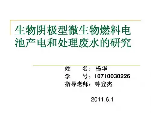 微生物燃料电池