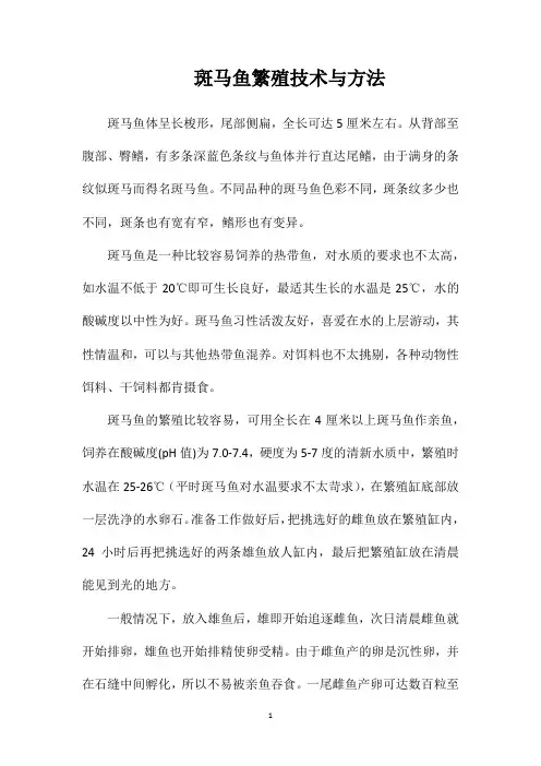 斑马鱼繁殖技术与方法