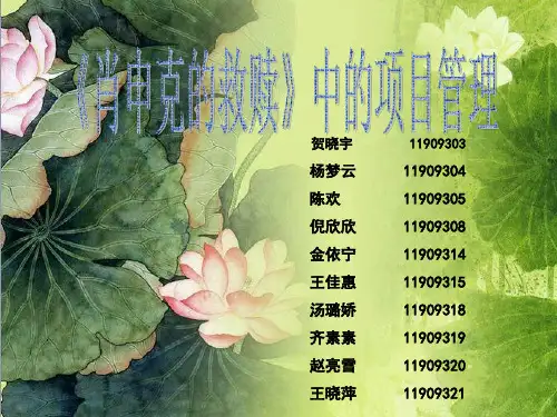 肖申克的救赎项目管理