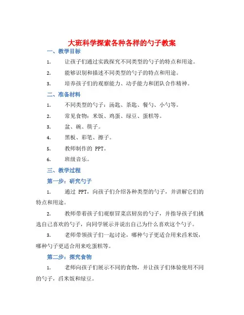 大班科学探索各种各样的勺子教案【含教学反思】