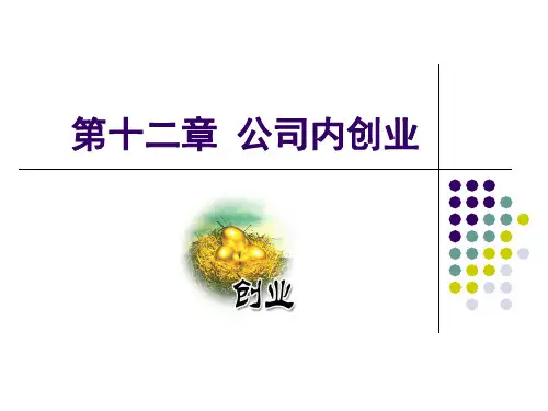 Chp12第十二章 公司内创业教学案例
