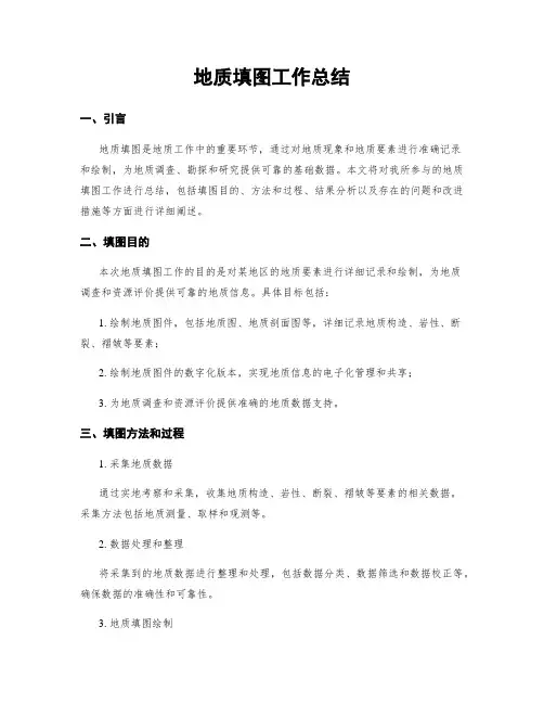 地质填图工作总结