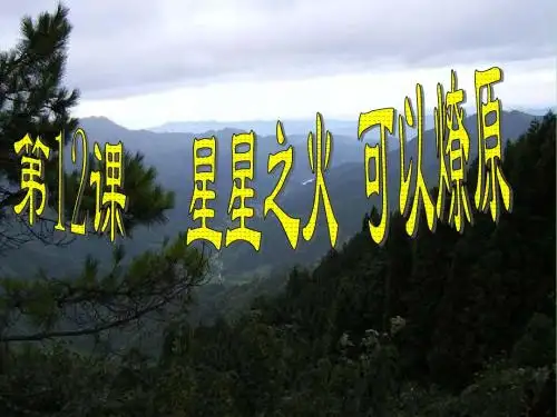 八年级历史上第12课星星之火可以燎原课件