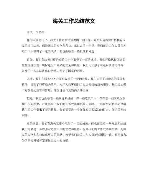 海关工作总结范文