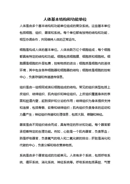 人体基本结构和功能单位