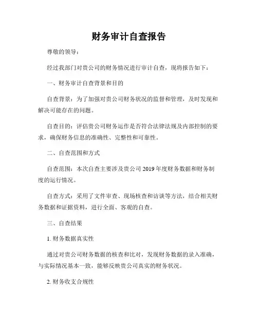 财务审计自查报告