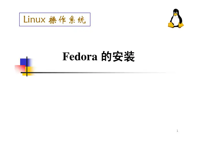 Fedora 的安装(Linux安装)