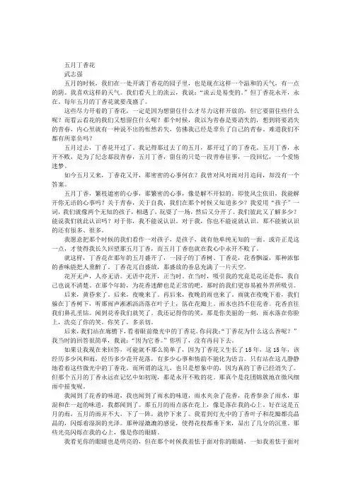 五月丁香花-五月丁香花开