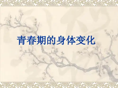 青春期的身体变化讲义