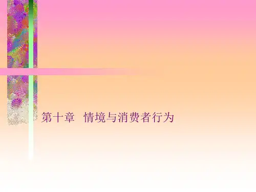 消费者行为学    第十章  情境与消费者行为