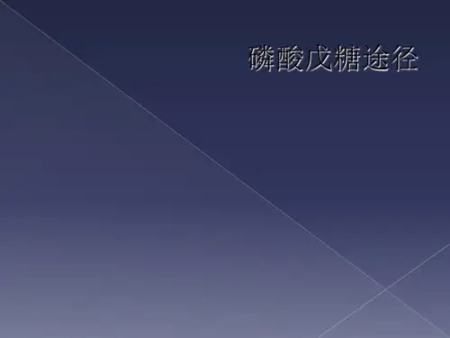 磷酸戊糖途径
