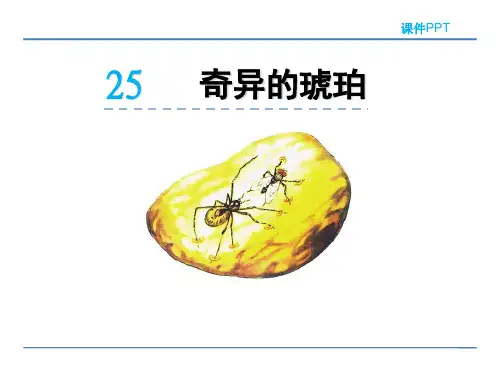 2018春北京版五年级语文下册《25 奇异的琥珀》课件