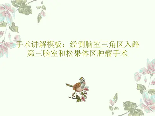 手术讲解模板：经侧脑室三角区入路第三脑室和松果体区肿瘤手术40页文档