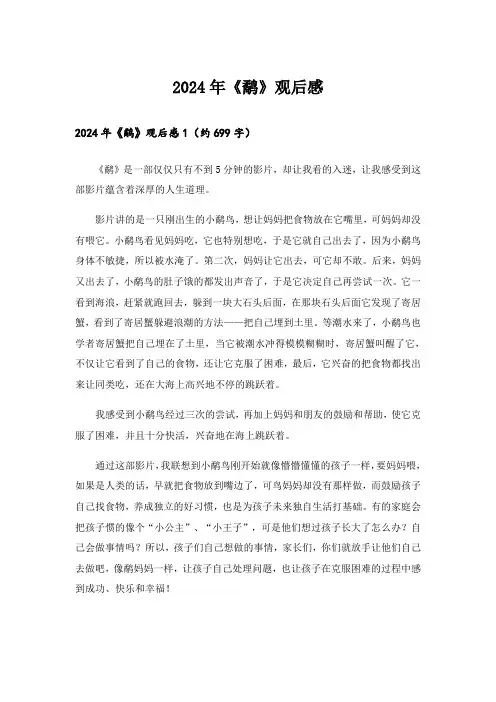 2024年《鹬》观后感_17