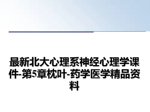 最新北大心理系神经心理学课件-第5章枕叶-药学医学精品资料