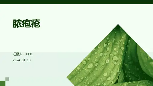 脓疱疮介绍演示培训课件