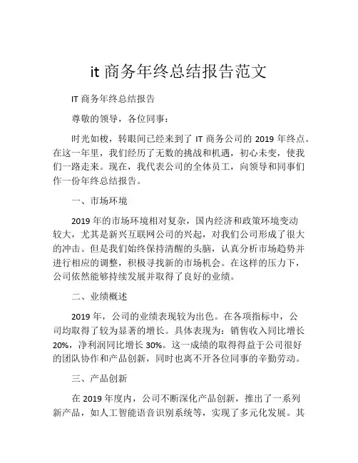 it商务年终总结报告范文