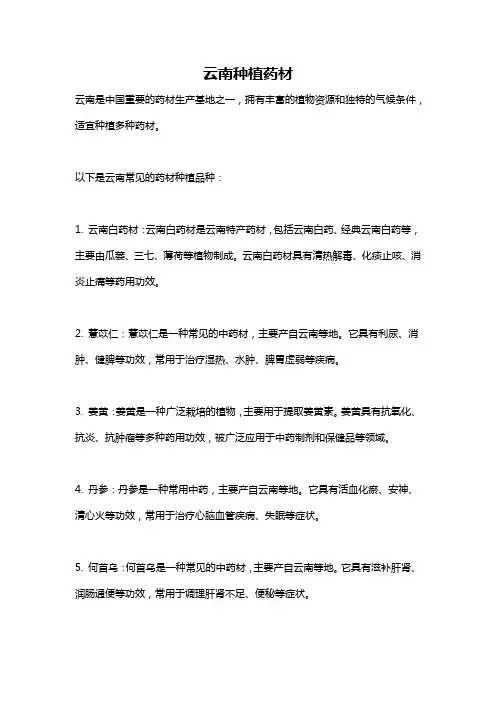云南种植药材