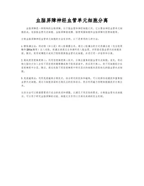 血脑屏障神经血管单元细胞分离