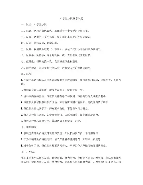 小学生小队规章制度