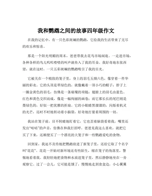 我和鹦鹉之间的故事四年级作文