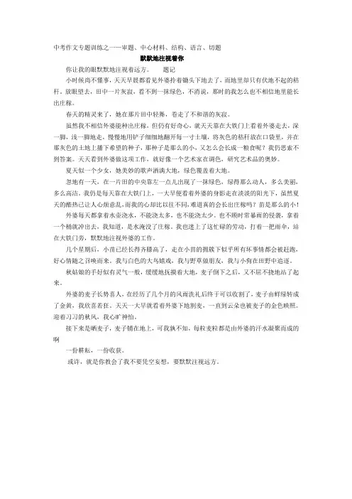 初中初三中考作文范文-专题训练6