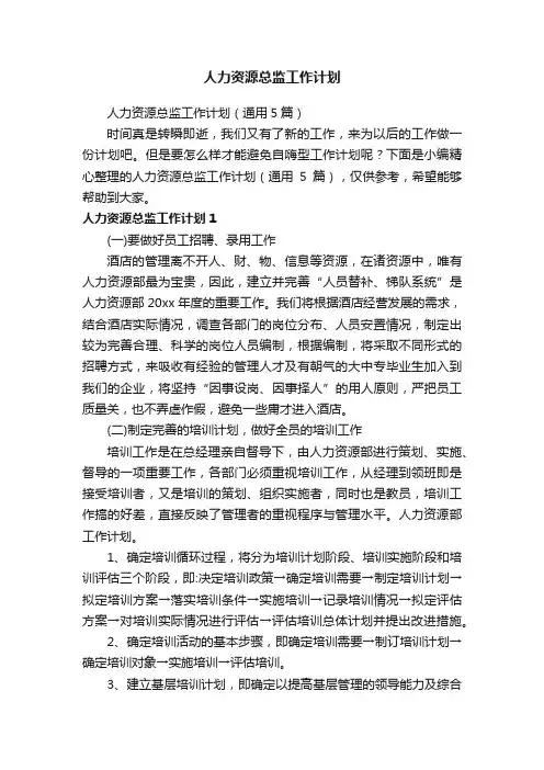 人力资源总监工作计划（通用5篇）