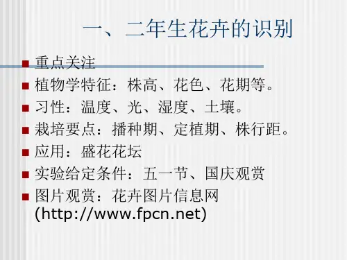 一二年生花卉的识别
