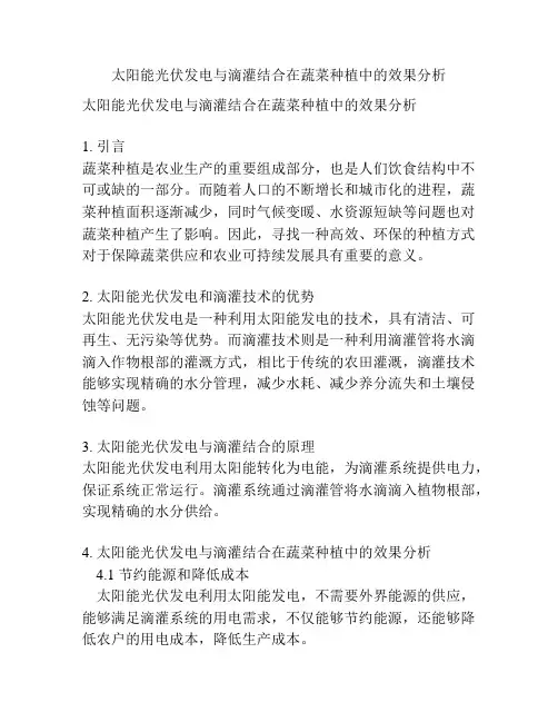 太阳能光伏发电与滴灌结合在蔬菜种植中的效果分析