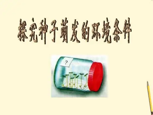 济南版八年级生物上册《第四节、种子萌发》课件