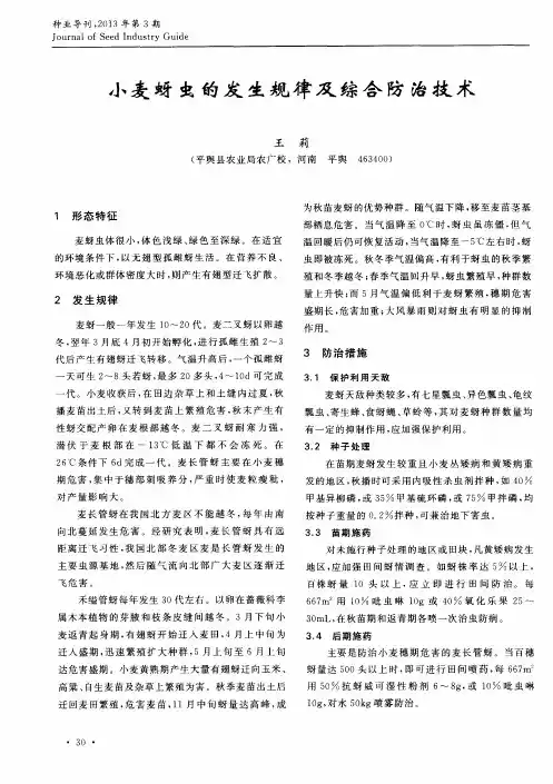小麦蚜虫的发生规律及综合防治技术