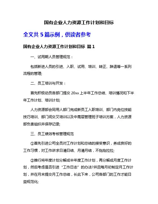 国有企业人力资源工作计划和目标