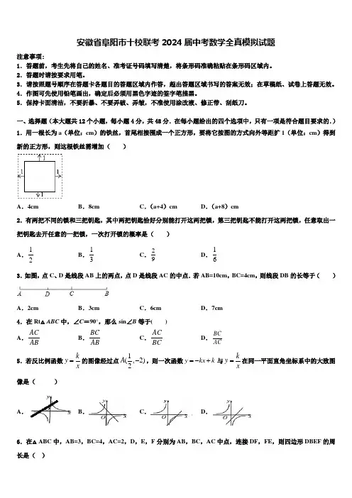 安徽省阜阳市十校联考2024届中考数学全真模拟试题含解析