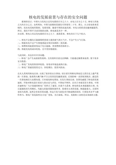 核电的前景及存在的问题
