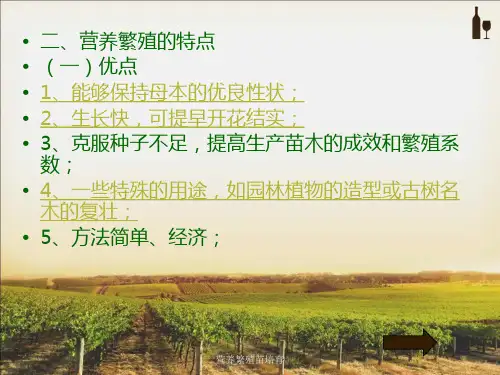 营养繁殖苗培育课件