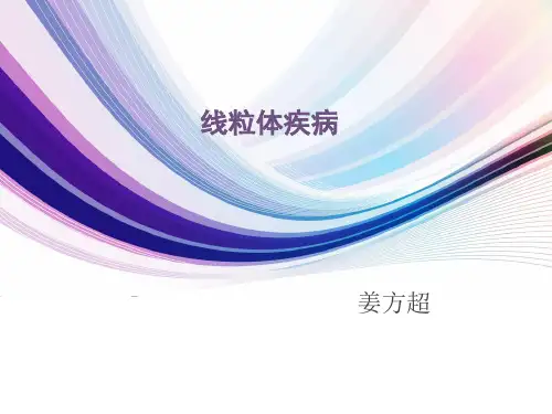 线粒体疾病