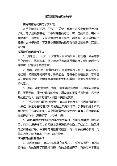 描写荷花的优美句子
