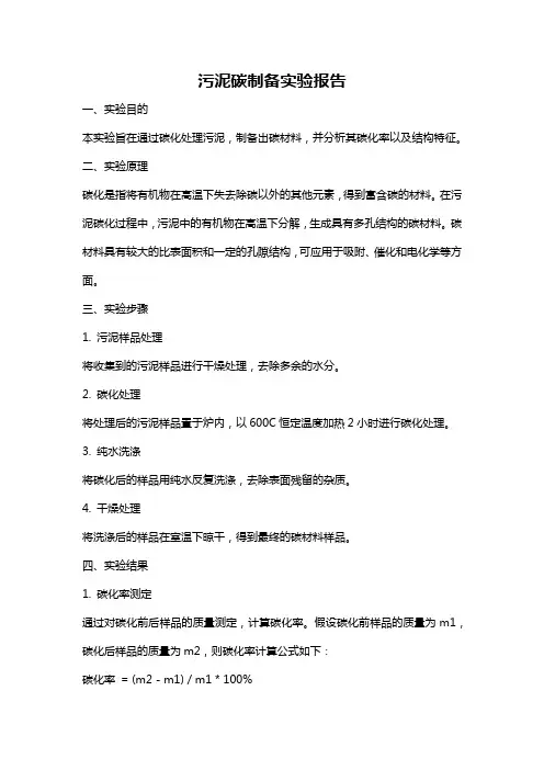 污泥碳制备实验报告