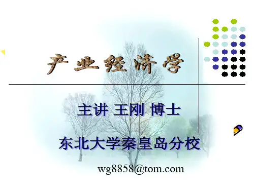 产业经济学第四章