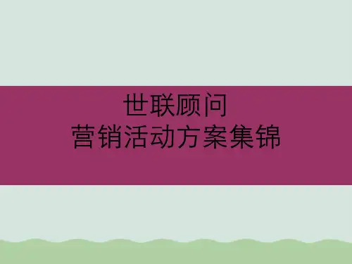 世联顾问营销活动方案集锦PPT(共45页)