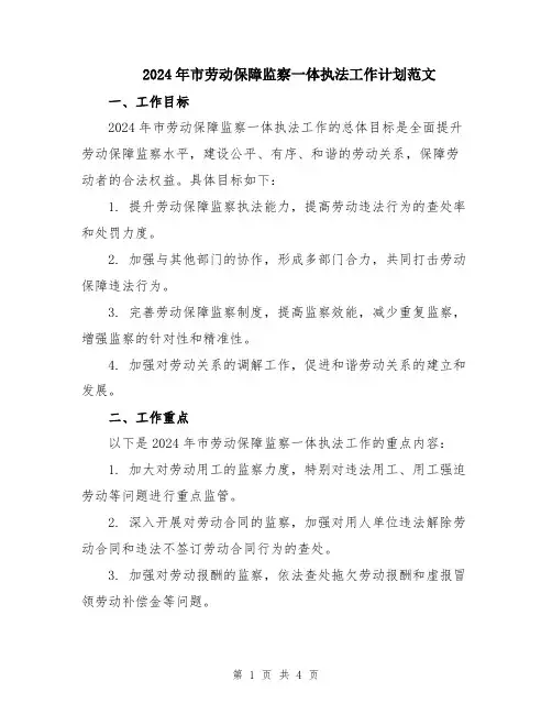 2024年市劳动保障监察一体执法工作计划范文