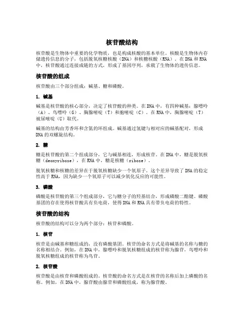 核苷酸 结构