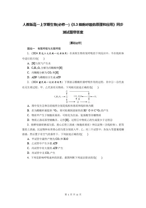 人教版高一上学期生物(必修一)《5.3细胞呼吸的原理和应用》同步测试题带答案