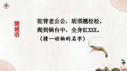 部编版三年级语文下册15.《小虾》课件(共20张PPT)
