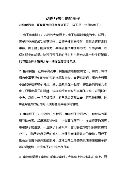动物互帮互助的例子