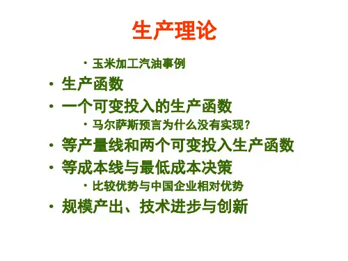 经济学原理：生产理论
