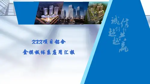 XXX项目铝模汇报PPt