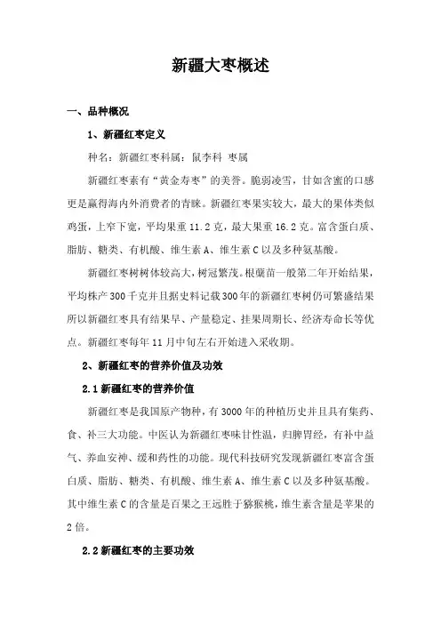 新疆大枣概述